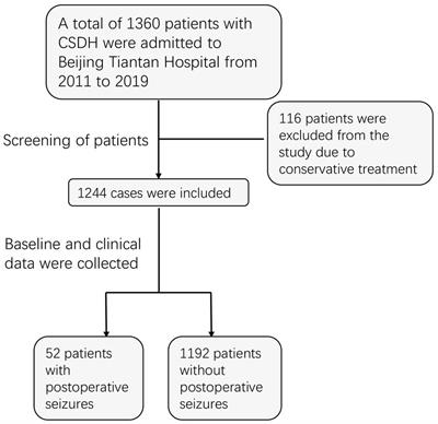 Seizure after chronic subdural hematoma evacuation: associated factors and effect on clinical outcome